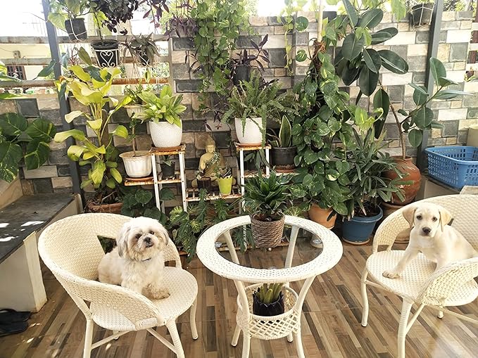 SPYDER CRAFT Rattan Wicker Patio Furniture Sets Outdoor Garden Balcony Coffee Chair Table Set 2+1, Powder Coated, UV Protected, (Off White)