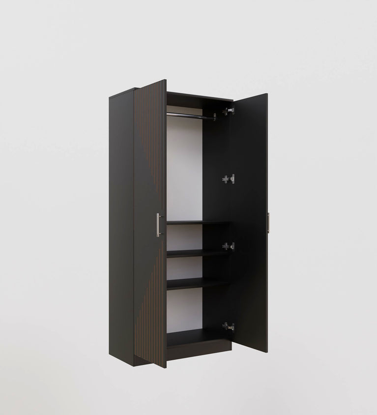 Spydercraft Matte Finish Albite Modern 2-Door Black Wardrobe with Vertical Gold Accents| Color: Black| Do-It-Yourself Product