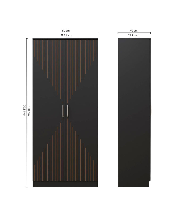 Spydercraft Matte Finish Albite Modern 2-Door Black Wardrobe with Vertical Gold Accents| Color: Black| Do-It-Yourself Product