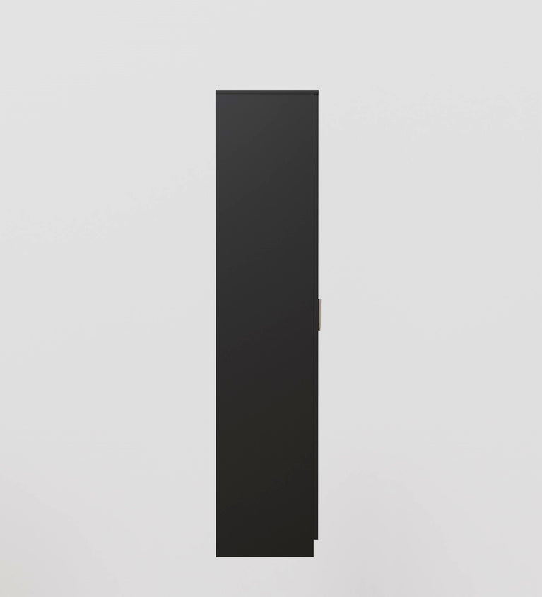 Spydercraft Matte Finish Albite Modern 2-Door Black Wardrobe with Vertical Gold Accents| Color: Black| Do-It-Yourself Product