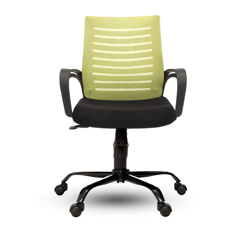 Spyder Craft Basic Low height office & study Chair Green