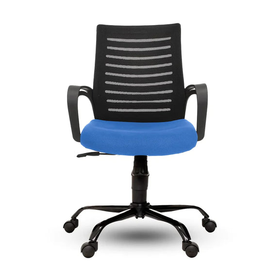 Spyder Craft Basic Low height office & study Chair Blue