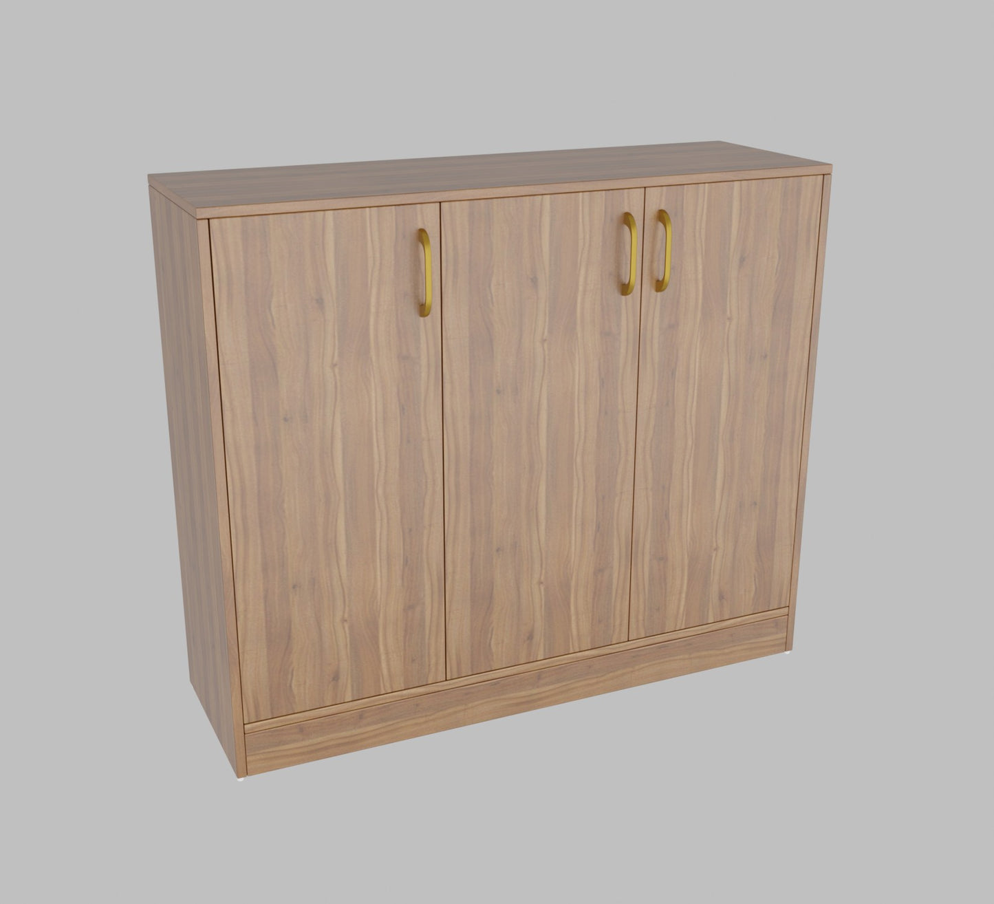 Spydercraft Accent Modern Storage Cabinet with Matte Finish and Premium Metal Handles