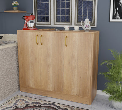 Spydercraft Accent Modern Storage Cabinet with Matte Finish and Premium Metal Handles| Color: Canyon Oak| Multipurpose Cabinet