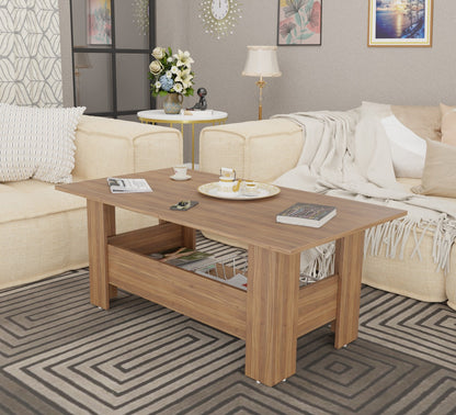 Spyder Craft Gabrial Modern Wooden Coffee Table with Storage| Coffee Table for Living Room Engineered Wood Coffee Table (Modern, Noce Lyon))