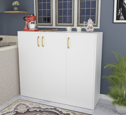 Spydercraft Accent Modern Storage Cabinet with Matte Finish and Premium Metal Handles