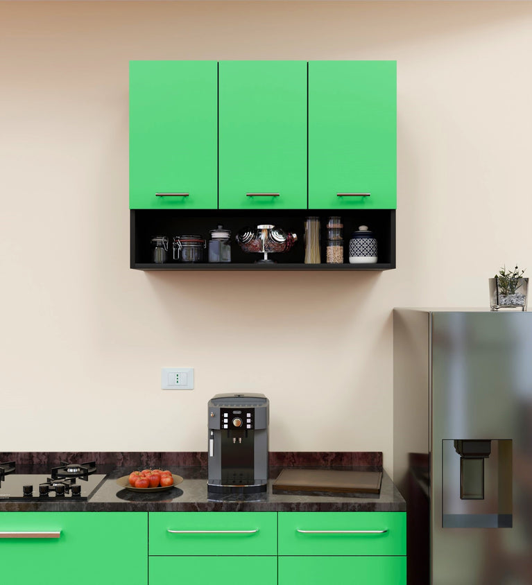 SPYDERCRAFT Matte Finish Myra (Foor-Door) Kitchen Cabinet| Color: Green and Black| Do-It-Yourself Product